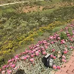 Ponte Vista Дом отдыха